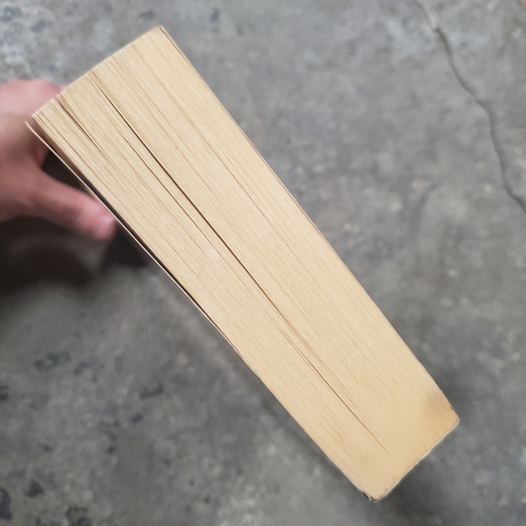 The Gangs of Chicago by Herbert Asbury (paperback book) - Picture 6 of 7